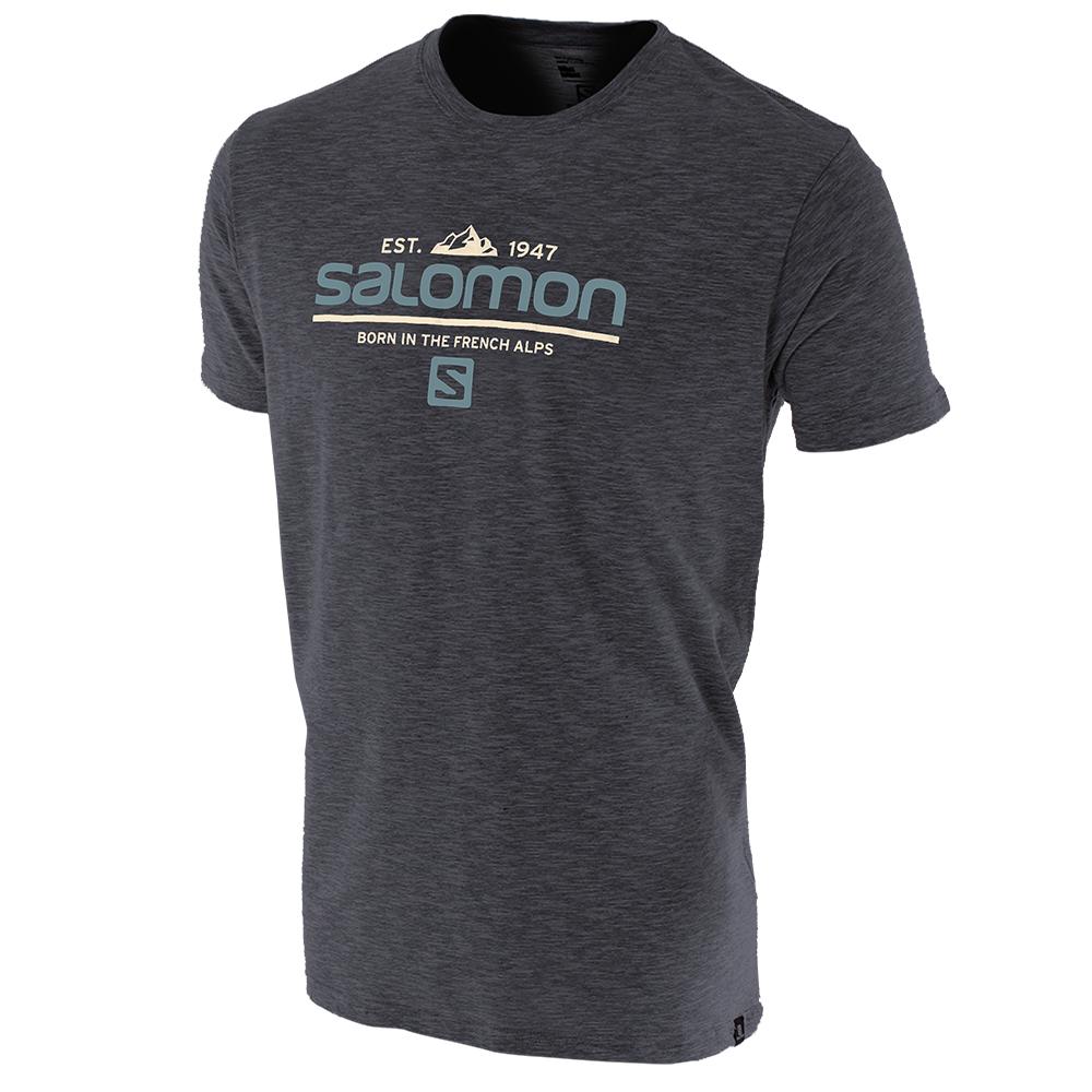 Salomon VISIONARY SS M Camisetas Hombre - Gris - Colombia (69578-ATPF)